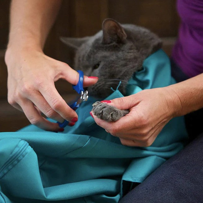 😻😻Buy One And Get One FREE: Cat Carrier Pouch