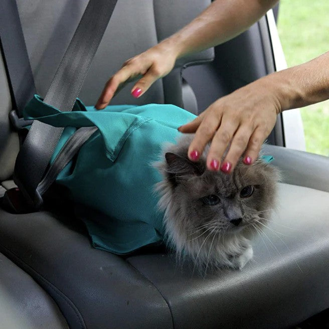 😻😻Buy One And Get One FREE: Cat Carrier Pouch